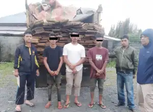 Polisi Bekuk Tiga Terduga Pelaku Illegal Logging di Bener Meriah
