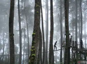 Sederet Rekomendasi Destinasi Panorama Indah di Indonesia
