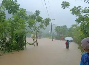 Sempat Terendam Banjir, Sejumlah Desa di Kawasan Lhoong Kembali Normal