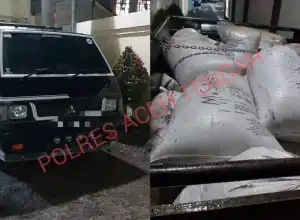 Polisi Tangkap Dua Penggangkut Getah Pinus di Aceh Tengah