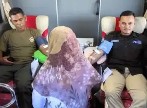 Pemerintah Aceh Terus Kumpulkan Kantong Darah, Ada Apa?