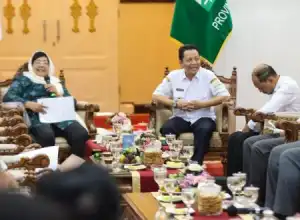 Pj Gubernur Aceh dan Menteri LHK Bahas Kebijakan Baru Tentang Kehutanan 