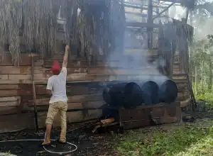 Bangunan Usaha Jamur di Indrapuri Aceh Besar Terbakar