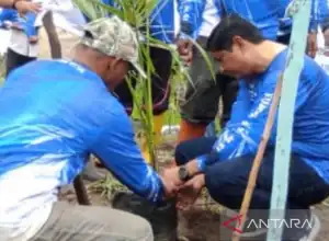 Aceh Barat Budidaya Kelapa untuk Ketahanan Pangan dan Produk Unggulan