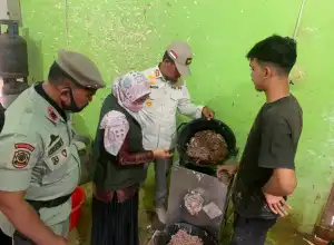 Tempat Pembuatan Mie dan Bakso di Banda Aceh Rentan Terkontaminasi Najis