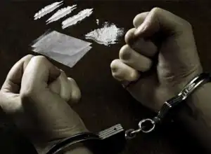 Polisi Aceh Selatan Ringkus Seorang Pengedar Sabu Asal Abdya
