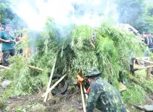 Pemkab Aceh Selatan Rencanakan Bangun Balai Rehabilitasi 