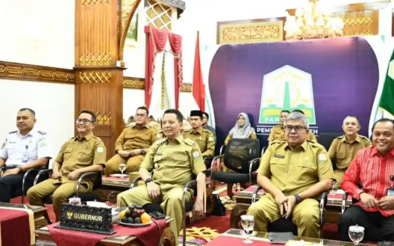Komoditas Pangan di Tiga Daerah di Aceh Stabil