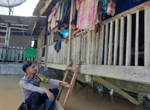 Banjir Landa Aceh Tamiang, Puluhan Warga Mengungsi