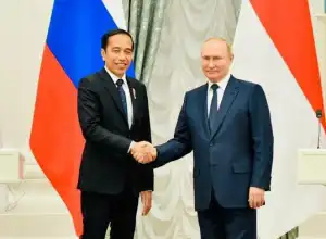 Putin dan Jokowi Bahas Ekspor Gandum Ukraina