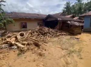 Banjir Bandang di Aceh Tenggara Akibat Dua Orang Meninggal dan Puluhan Rumah Rusak 