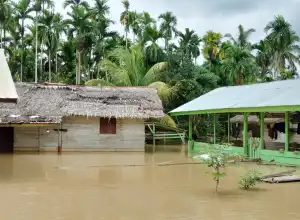 706 Warga Langkahan Aceh Utara Mengungsi Akibat Banjir