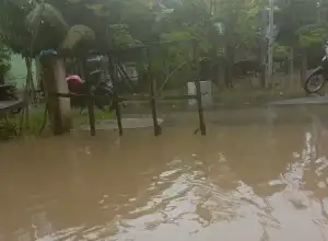 Puluhan Rumah di Aceh Utara kembali Terendam Banjir