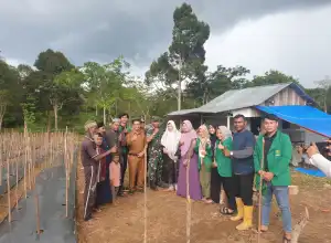 Bantu Petani Daerah Pelosok, Pembina MPC PP Lhokseumawe Buka 2 Hektar Lahan Cabai di Simpang Keuramat