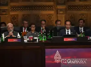 Presiden Jokowi Katakan KTT G20 Indonesia Tidak Boleh Gagal