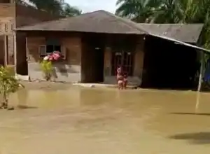 Wilayah Hilir Aceh Tamiang Kembali Diterjang Banjir Susulan
