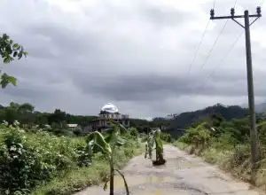 Tak kunjung Diperbaiki, Masyarakat Bintang Tanam Pohon Pisang di Badan Jalan
