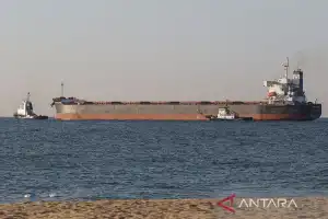 FAO Sebut Kesepakatan Biji-Bijian Laut Hitam Untungkan Ukraina Dan Dunia