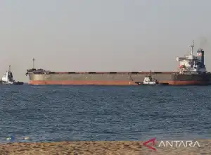 FAO Sebut Kesepakatan Biji-Bijian Laut Hitam Untungkan Ukraina Dan Dunia