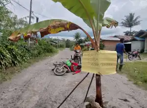 Masyarakat Ketol Tanami Pohon Pisang di Ruas Jalan Rusak, Ini Tanggapan Kadis PUPR Aceh Tengah