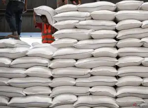 Upaya Menjaga Inflasi Nasional Dimulai dari Beras