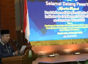 Perekonomian Sumatera Pasca Covid-19 Mulai Membaik