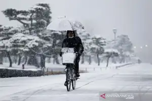 Hujan Salju Lebat di Jepang Tewaskan Delapan Orang