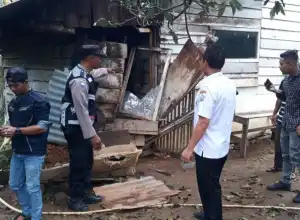 Gajar Liar Rusak Dua Unit Rumah Warga di Bener Meriah