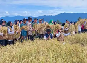 Kapolres dan Forkopimda Aceh Selatan Panen Hasil Program Ketahanan Pangan