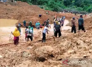6 Alat Berat Dikerahkan Mencari Korban Longsor di Nagan Raya