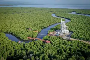 Pesona Mangrove Forest Park Langsa, “Pabrik Oksigen Terbesar”.