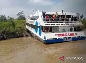 Kemudi Tak Terkendali, Kapal Ferry Dumai Line 9 di Riau Terperosok ke Hutan Bakau