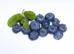 Sederet Manfaat Blueberry untuk Pengobatan Alami