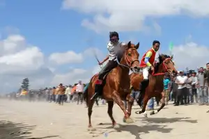 “Pacu Kude” Event Akbar Kebudayaan Tradisional Gayo