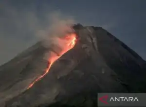 Selama Sepekan, Gunung Merapi di Perbatasan Jawa Tengah dan Yogyakarta Luncurkan 160 Kali Guguran Lava 