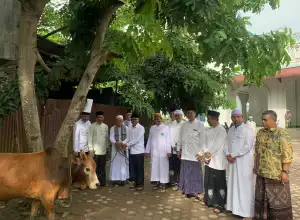 Pemkab Aceh Utara Salurkan 24 Hewan Qurban ke Dayah dan Gampong