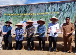 Kemenko Marves dan TETO Asal Taiwan Jalin Kerja Sama Produksi dan Pemasaran Bawang Putih di Sumut