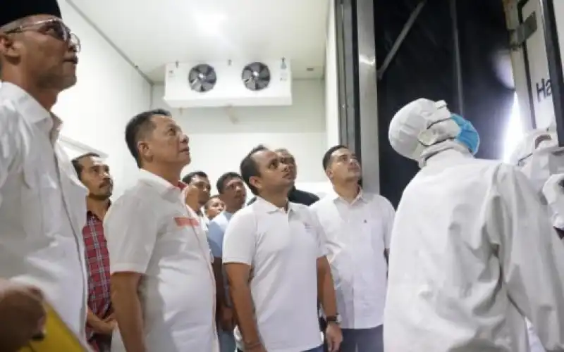 Perdana, 10 Ton Ikan Tuna dan Saku dari Aceh Diekspor ke Kerajaan Arab Saudi