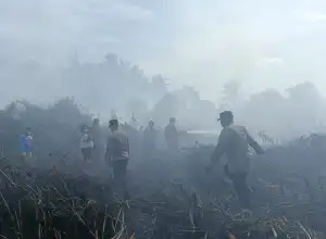 Dua Hektar Lahan di Lhokseumawe Terbakar, Lima Unit Pemadam Dikerahkan 