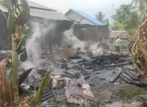 Satu Unit Rumah di Gampong Tanjong Ara Musnah Terbakar