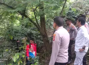 Seorang Lelaki Ditemukan Tewas Tergantung di Pohon Pete di Bener Meriah