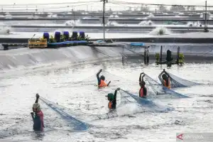 Bergerak Bersama Untuk Mewujudkan Ekonomi Biru