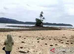 Simeulue Andalkan Wisata Bahari Tingkatkan Kunjungan Wisatawan