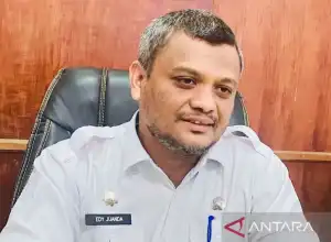 Pemkab Aceh Barat Catat Pelamar PPPK Mencapai 1.187 orang