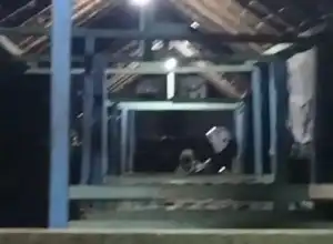 Satpol PP dan WH Amankan 13 Remaja Diduga Lakukan Mesum di Lhokseumawe 
