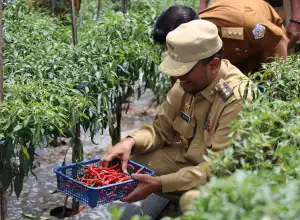 Pj Wali Kota Lhokseumawe Ajak Masyarakat Manfaatkan Lahan untuk Kemandirian Pangan