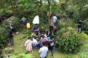 Festival Panen Kopi 2023 Resmi Dibuka, Puluhan Perahu Berlomba