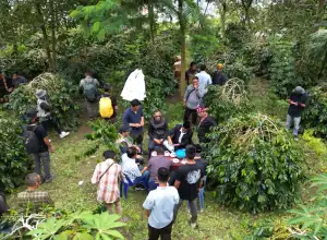 Festival Panen Kopi 2023 Resmi Dibuka, Puluhan Perahu Berlomba