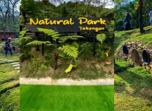 Natural Park, Destinasi Asri Dikelilingi Kopi di Aceh Tengah