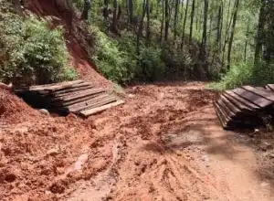 Polda Aceh Diminta Usut Tuntas Aktivitas Illegal Logging di Gewat-Mungkur, Aceh Tengah